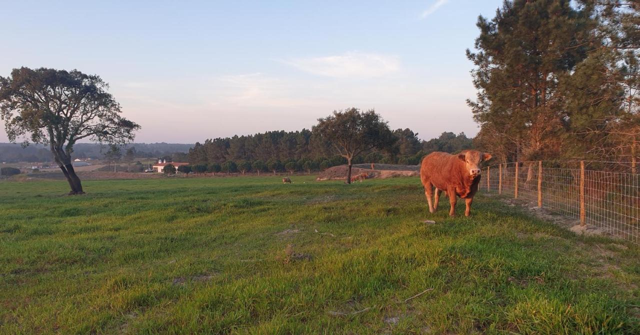 Monte Da Xara Villa Aljezur Luaran gambar