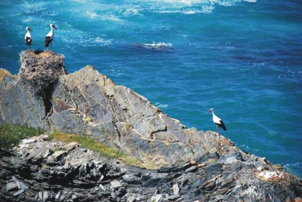 Monte Da Xara Villa Aljezur Luaran gambar